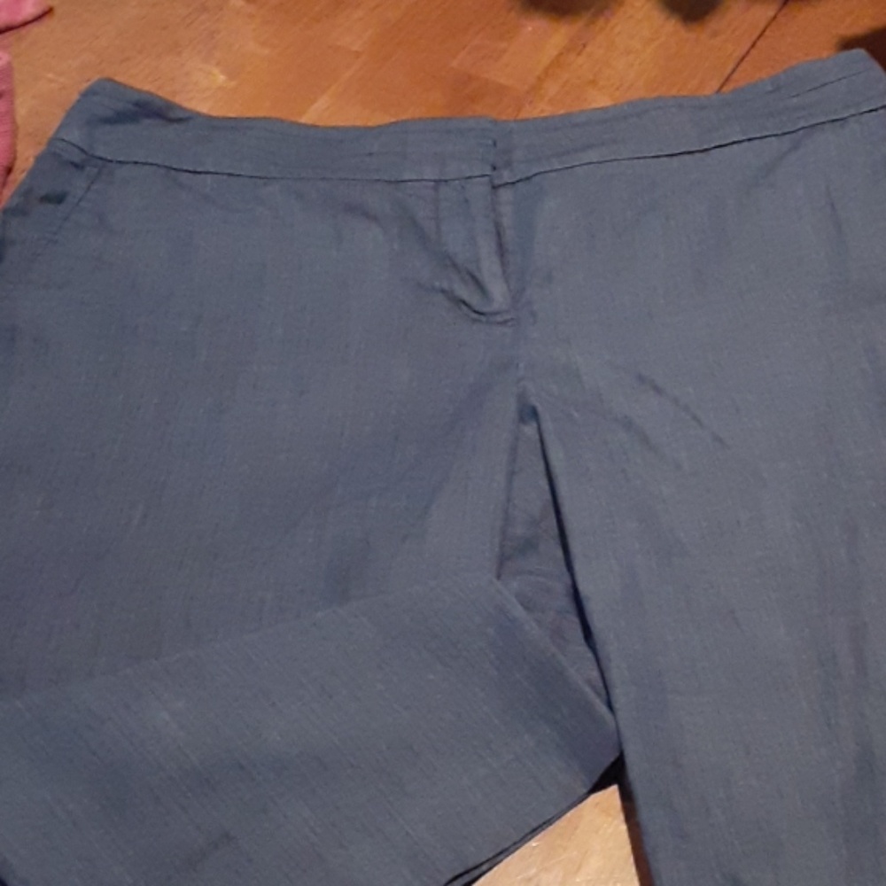 Ann Taylor Loft capris dress slacks